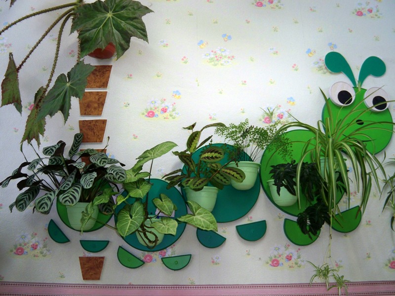 Декор стены в детском саду