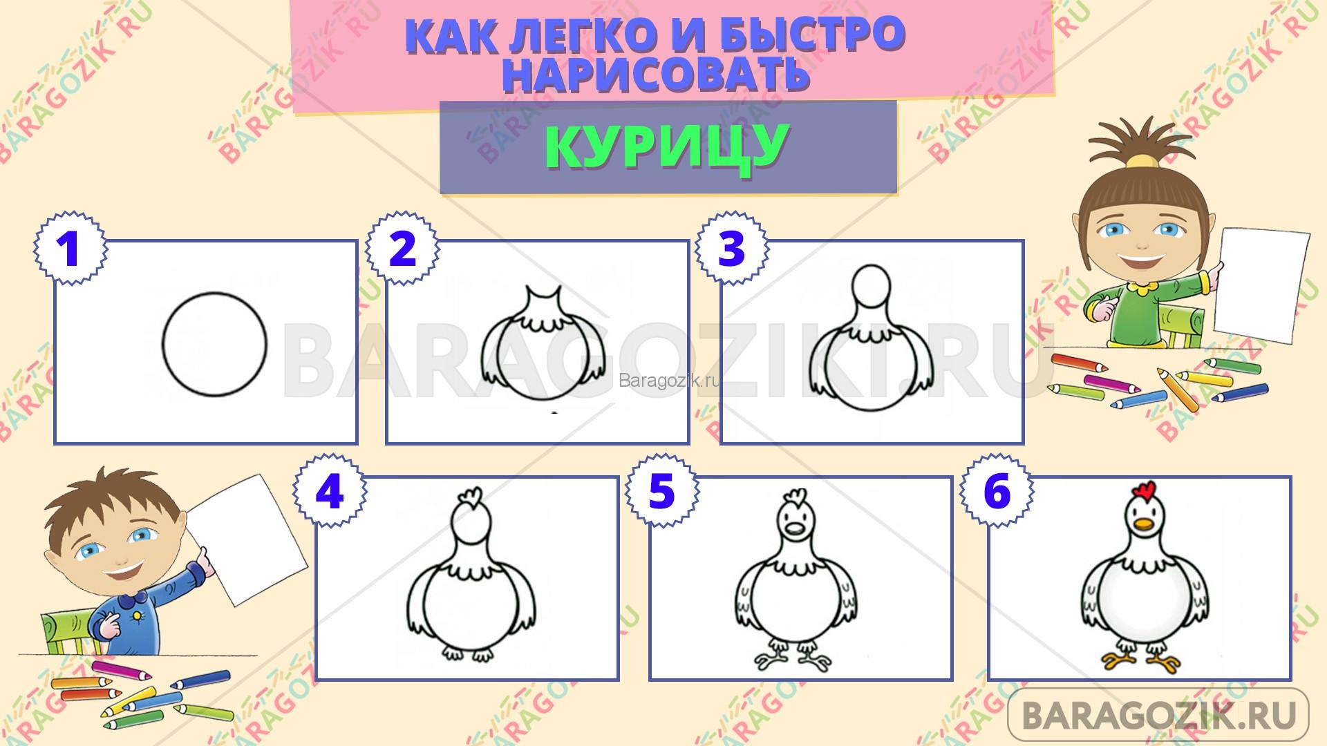 как легко нарисовать курицу - пошаговая схема