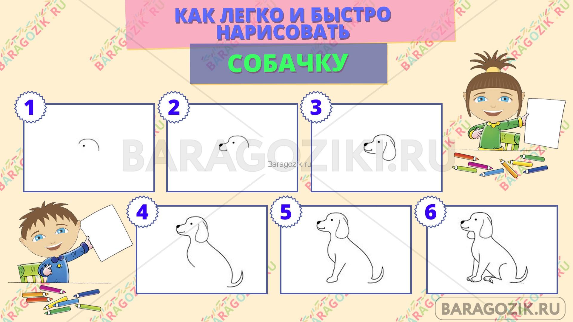 как легко нарисовать собачку - пошаговая схема