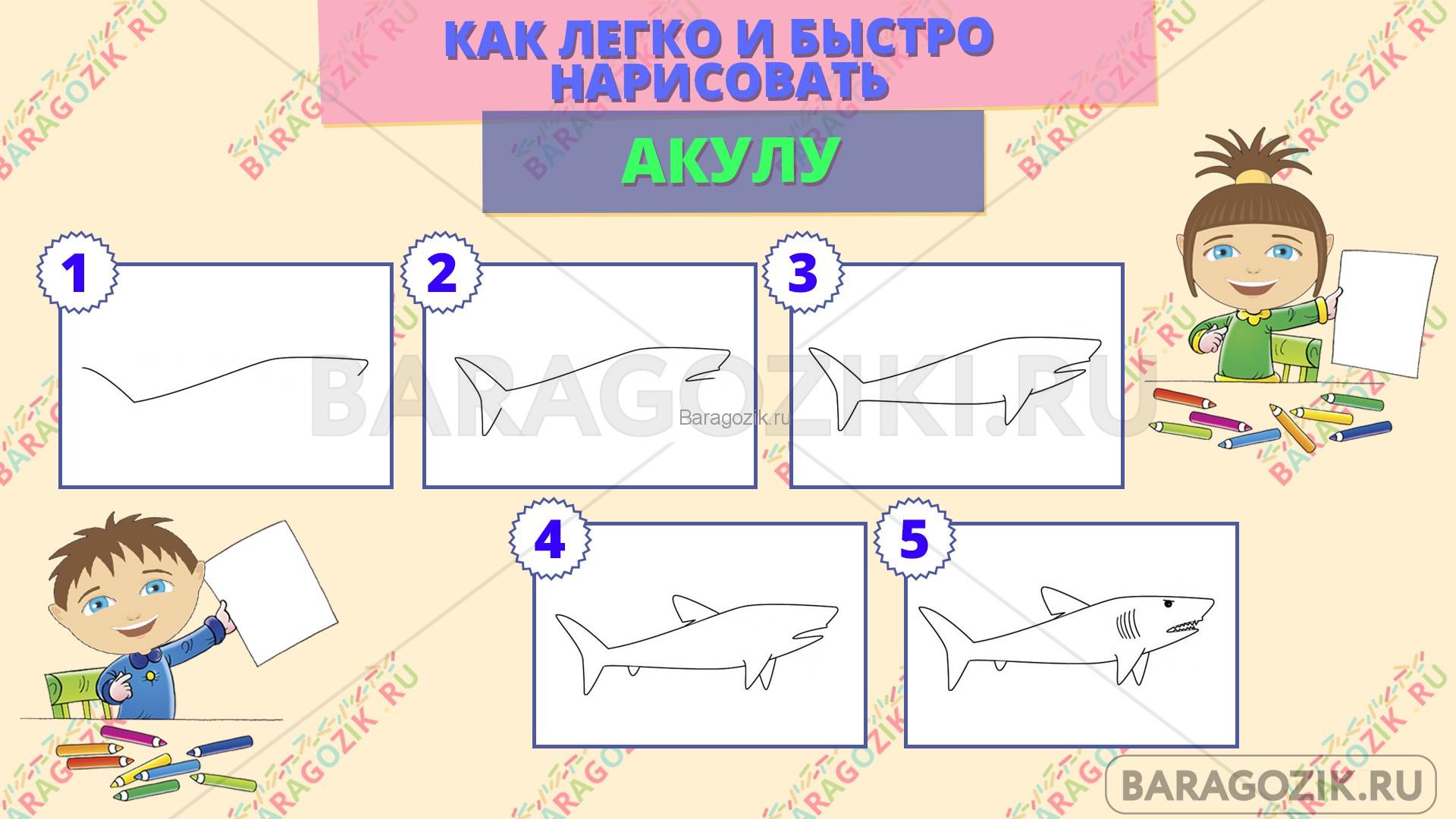 как легко нарисовать акулу - пошаговая схема