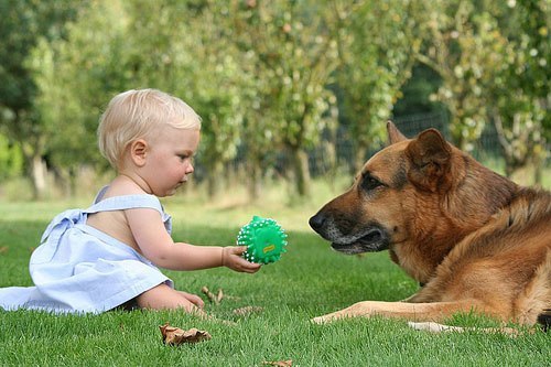 Человек и собака картинки для детей