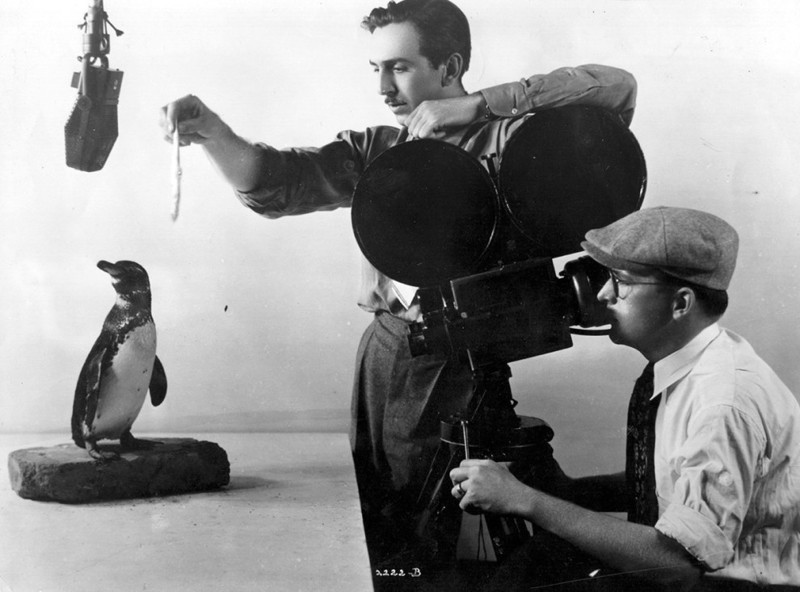 Уолт Дисней с помощью рыбы пытается вовлечь пингвина в съемку, работа над короткометражной мультипликационной картиной "Странные пингвины", 1934 год дисней, ретро, фотография
