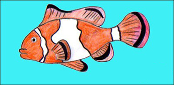 рисунок рыба клоун