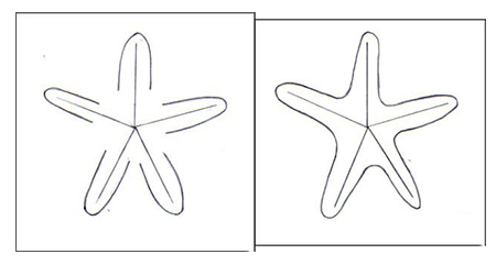 рисунок морская звезда вместе с детьми поэтапно