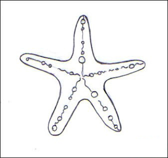 рисунок морская звезда вместе с детьми поэтапно
