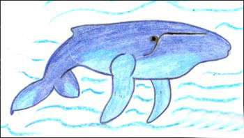 рисунок кит вместе с детьми поэтапно
