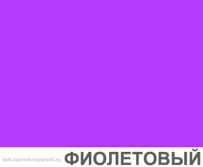 картинка фиолетового цвета