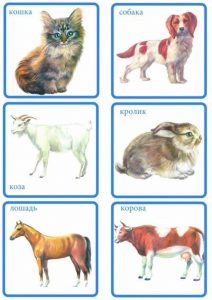 Карточки: кошка, собака, коза, кролик, лошадь, корова