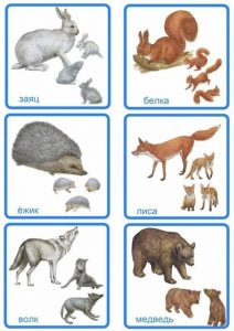 Карточки: заяц, белка, еж, лиса, волк, медведь