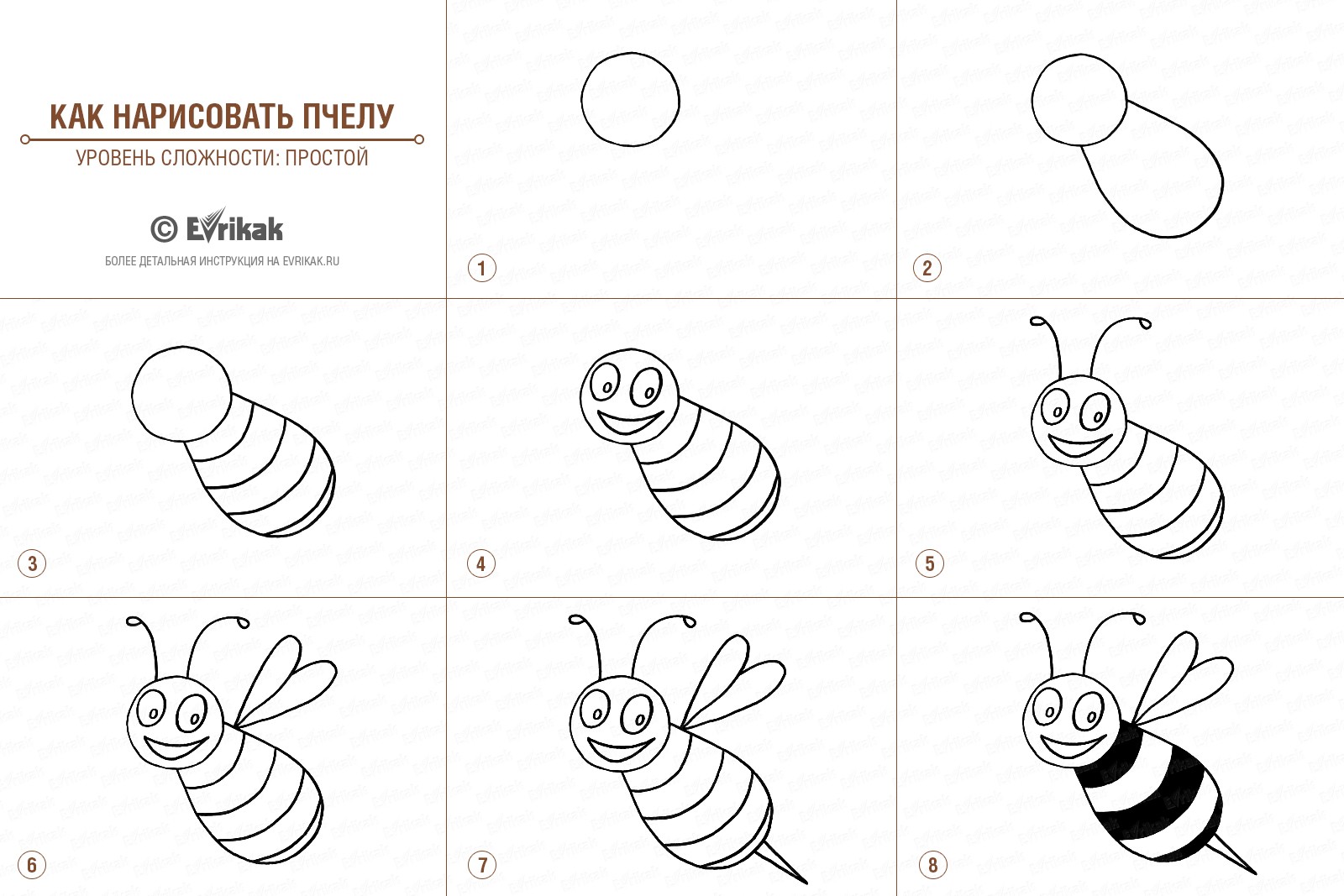 как нарисовать пчелу