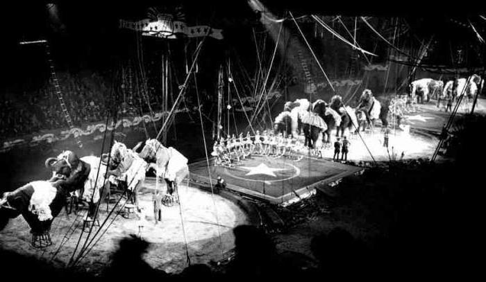 История цирка