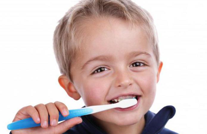 загадки про зубы для детей 