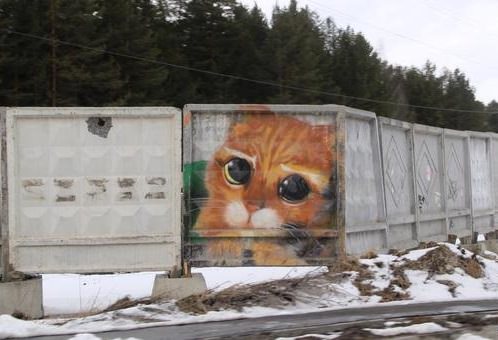граффити кот из Шрека в Екатеринбурге