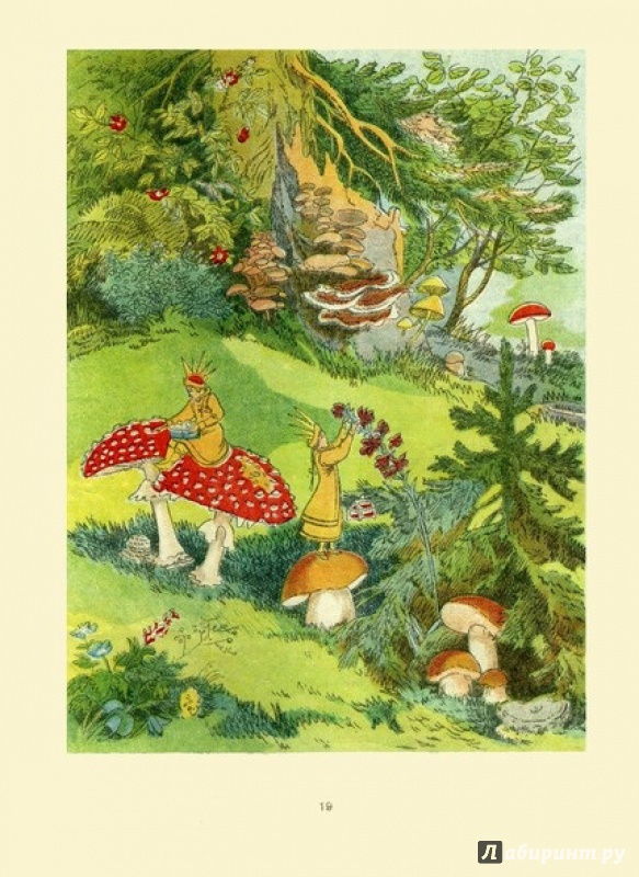 Иллюстрация 6 из 12 для Зой и Зоя - Виталий Бианки | Лабиринт - книги. Источник: gaduka1984