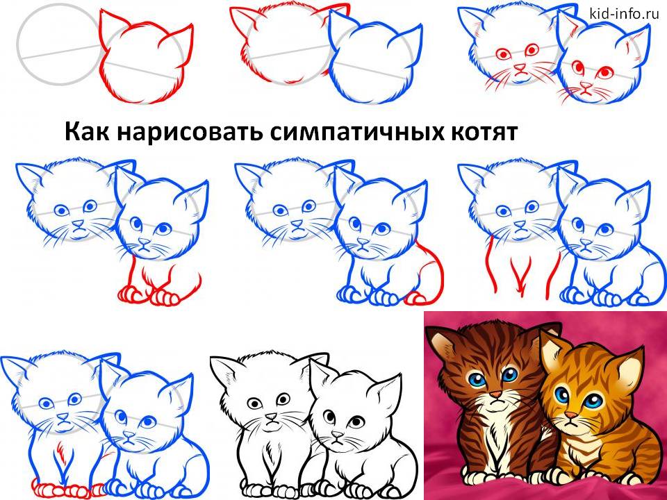 Как нарисовать кошку картинки