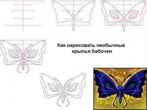 Как нарисовать необычные крылья бабочки