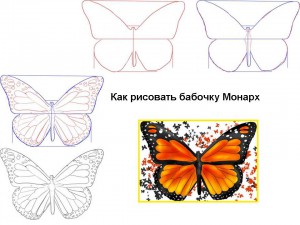Как рисовать бабочку Монарх