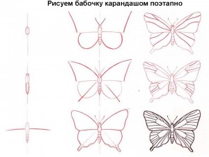 Рисуем бабочку карандашом поэтапно 