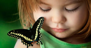 Стихи про насекомых для детей: бабочка