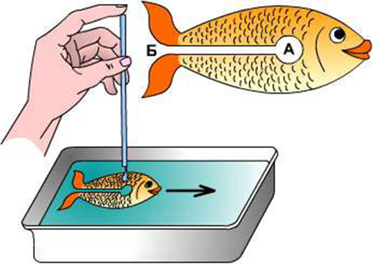 быстрая рыба опыты для детей