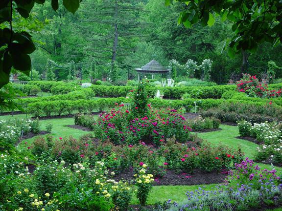 дендрологические парки и ботанические сады