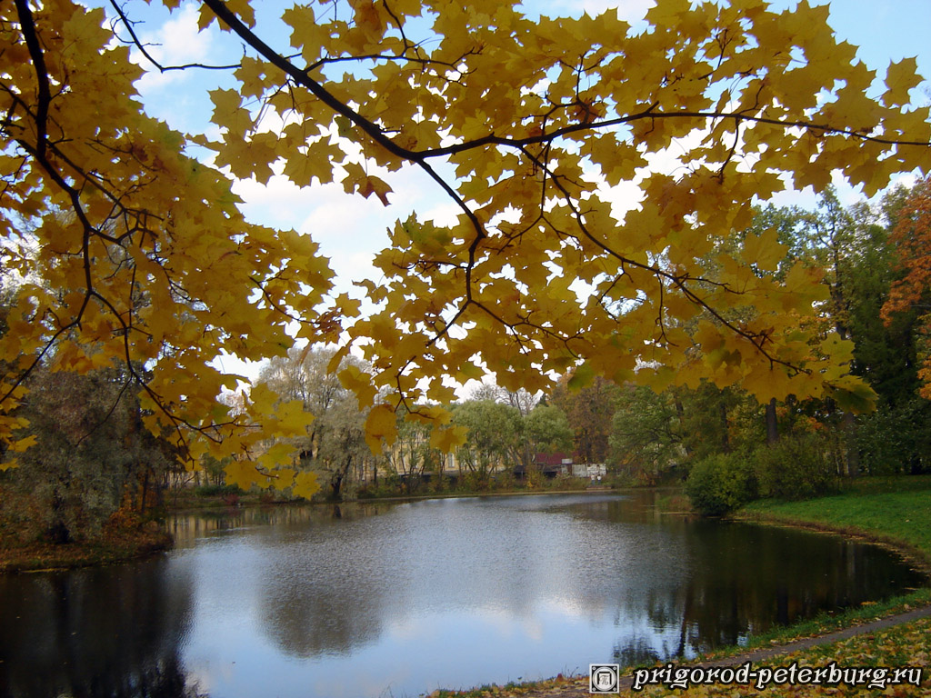 Золотая осень в Пушкинском Парке