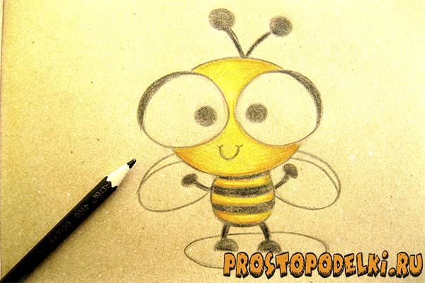 Как нарисовать пчелу-09