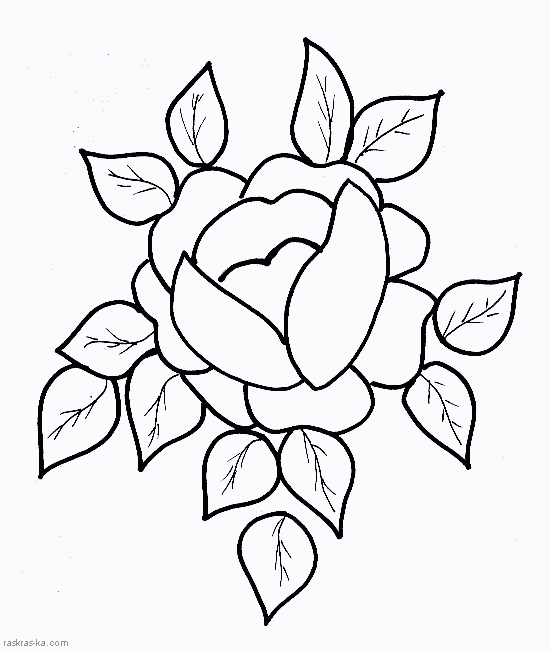 Разукрашка цветок. Роза
