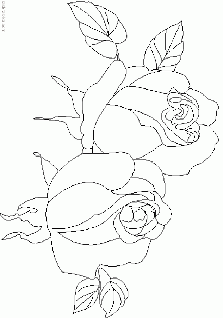 Розы. Раскраски для печати