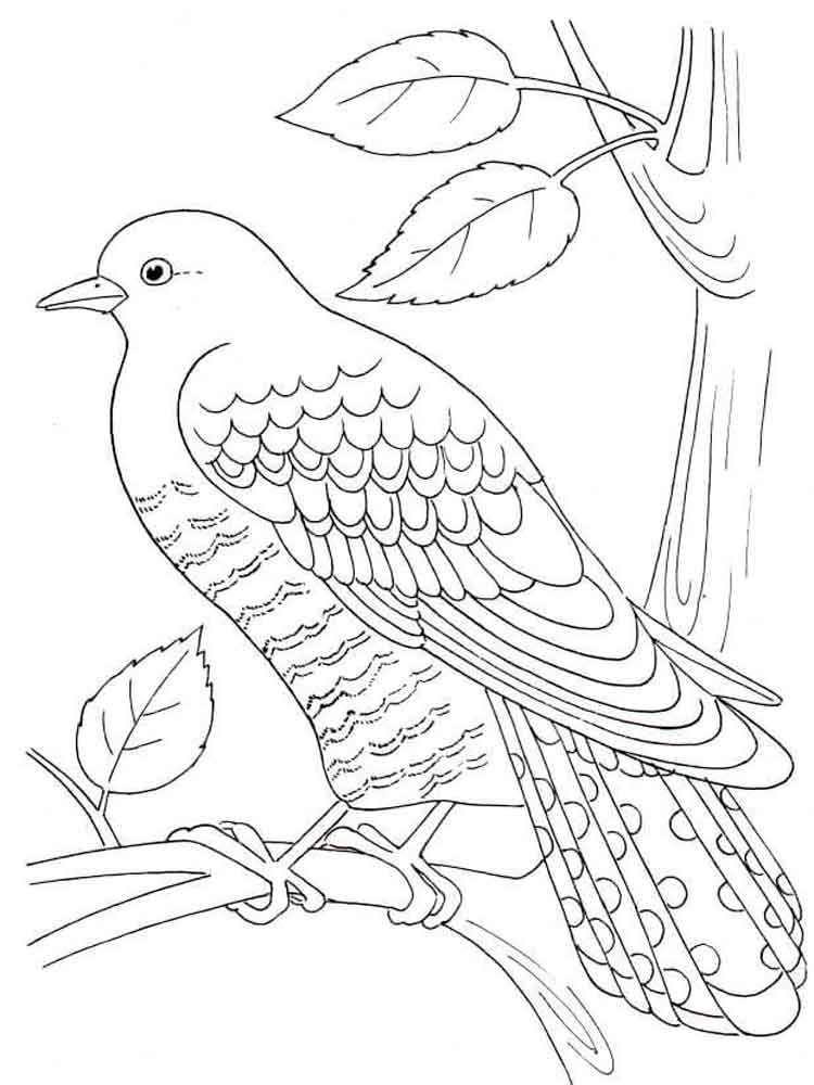Раскраски: перелетные птицы для детей