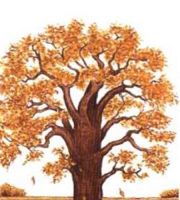 рисунок осень в детский сад