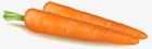 Стихи морковка