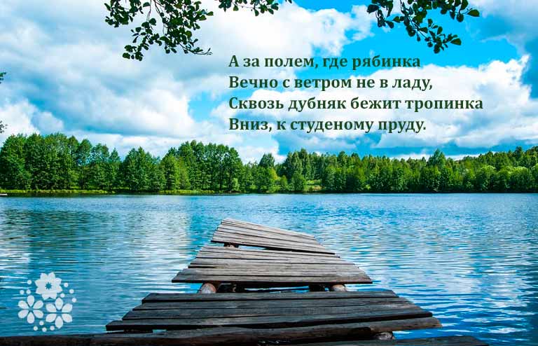стихи про лето русских поэтов