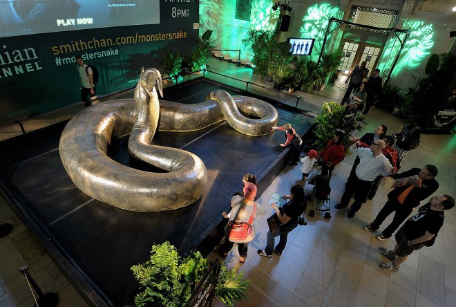 Самая крупный вымерший вид змей