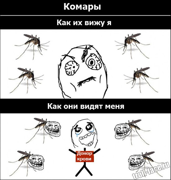 изображение: Комары: Как их вижу я. Как они видят меня - донор крови #Прикол