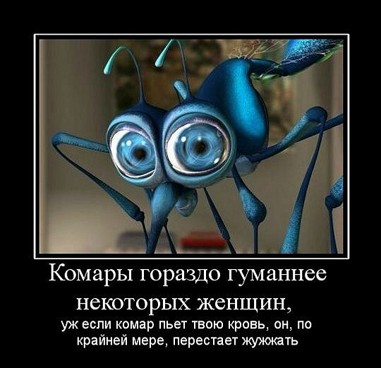 изображение: Комары гораздо гуманнее некоторых женщин, уж если комар пьет твою кровь, он, по крайней мере, перестает жужжать #Прикол