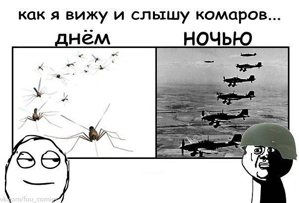 изображение: Как я слышу комаров днём и ночью #Прикол
