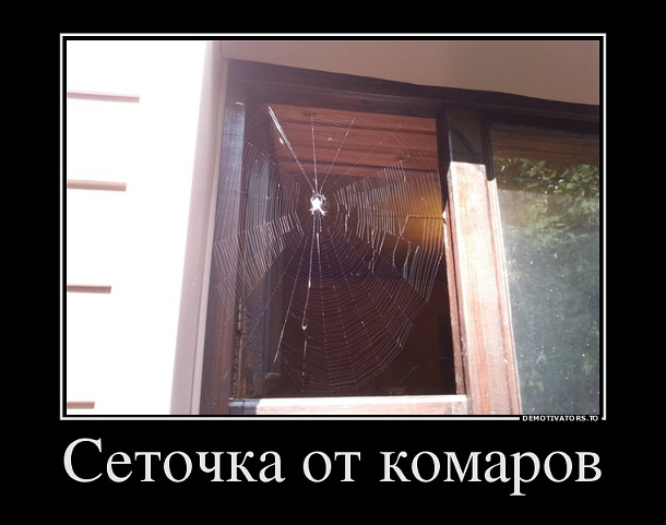 изображение: Самая эффективная защита от комаров - оригинальная сетка на ваше окно #Прикол