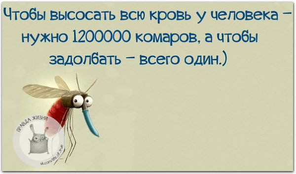 изображение: Чтобы высосать всю кровь у человека - нужно 1 200 000 комаров, а чтобы задолбать - всего один #Прикол