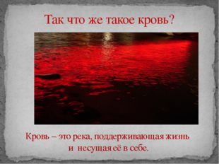 Так что же такое кровь? Кровь – это река, поддерживающая жизнь и несущая её