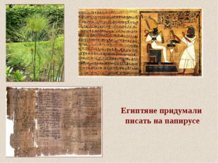 Египтяне придумали писать на папирусе 