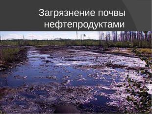  Загрязнение почвы нефтепродуктами 