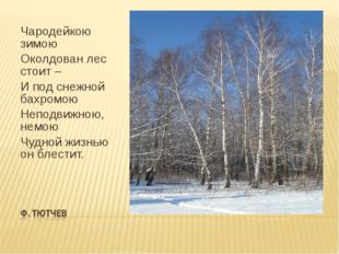Чародейкою зимою Околдован лес стоит – И под снежной бахромою Неподвижною, не