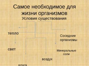 Самое необходимое для жизни организмов Условия существования тепло свет влага