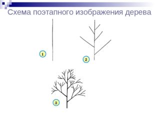 Схема поэтапного изображения дерева 