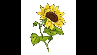 How to draw flowers Sunflower/ Как рисовать цветы, подсолнух.