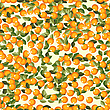 Бесшовный фон с апельсинами | Векторный клипарт
