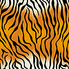 Бесшовная текстура в виде тигровой шкуры | Векторный клипарт