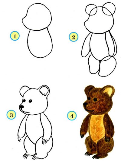 Как нарисовать мишку