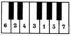 Чему соответствует основные ступени на клавиатуре фортепиано